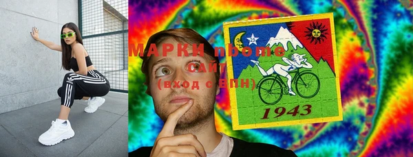 индика Баксан