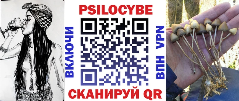 Галлюциногенные грибы Psilocybine cubensis  Оса 