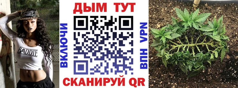 Бошки марихуана планчик  купить наркотики сайты  Оса 